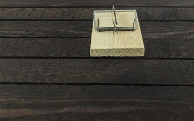 front view of mouse trap on dark brown wooden background.