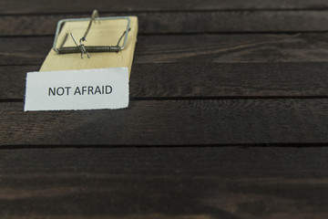 wooden mouse trap with the word: Not afraid.