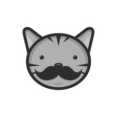 cat with a funny mustache