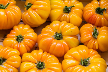 tomatoes in close-up