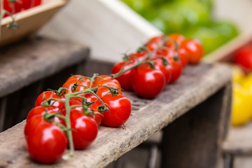 tomatoes in close-up