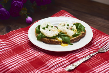 Tasty poached egg on toast over rustic background