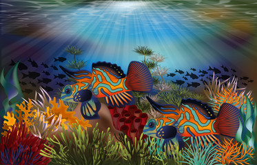Underwater tropical card with mandarin dragonet fish, vector illustration