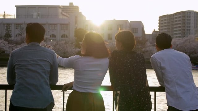 International friends by the river, looking at sakura trees, sunset.