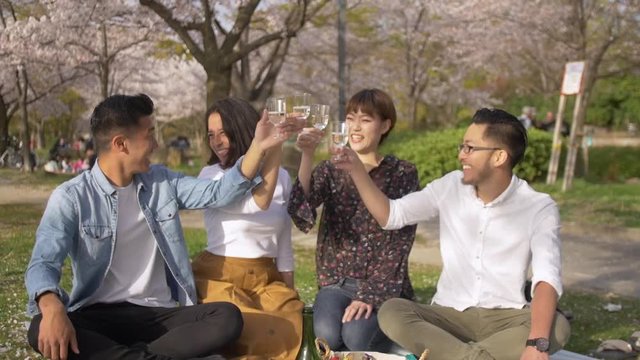 International friends in Japan celebrating under cherry blossom trees.