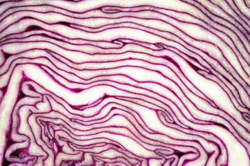 Inside raw red cabbage texture pattern texture close up view
