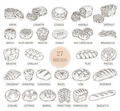 Isolated sketches of bread types