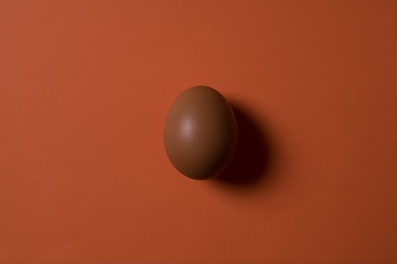 Minimalism. one egg in a center image on orange background.