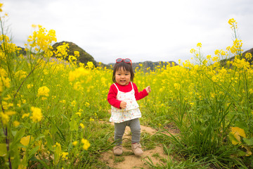 Fototapeta premium ・菜の花・サングラス・公園