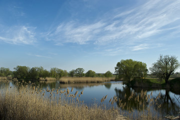 Landscape on the river Govtva in the village Reshetilivka Poltava region Ukraine