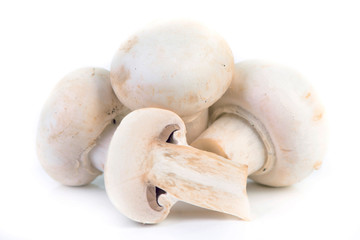 Fototapeta na wymiar Mushrooms champignon