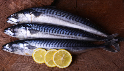 Fish mackerel