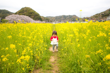 ・菜の花・サングラス・公園