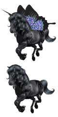 Black Unicorn with Butterfly Wings © AnnaPa