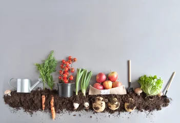 Papier Peint photo autocollant Légumes Fond de jardin de fruits et légumes biologiques