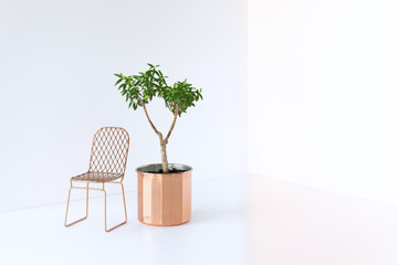 Contemporary netty metal chair and Myrtle plant in a copper pot.