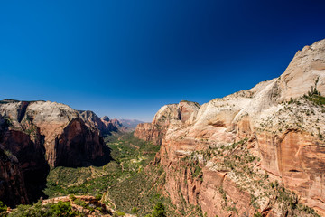 Landscape in Zion National Park