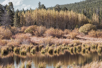 Lily Lake at Rocky Mountains, Colorado, USA.