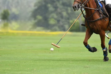 Raamstickers polo horse sport player hit a polo ball with a mallet in match. © Hola53