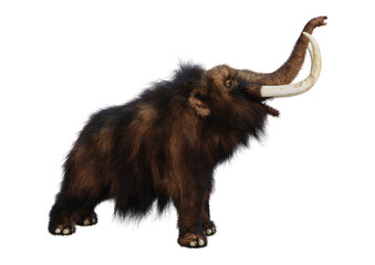 3D Rendering Woolly Mammoth on White