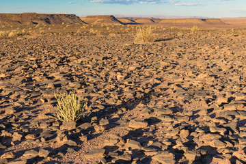 Landschaft am Fish River Canyon, Ai-Ais Richtersveld Transfrontier Park, Namibia