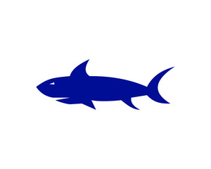 Obraz premium shark logo