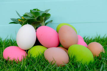 Easter eggs on green grass in sunny days