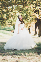 Beautiful bride in elegant white dress posing in park