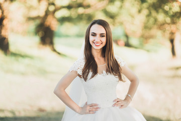 Beautiful brunette bride in elegant white dress holding bouquet posing neat trees