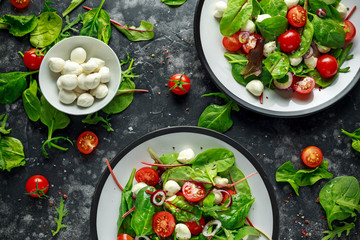 Fresh Cherry Tomato, Mozzarella salad with green lettuce mix and red onion. served on plate. healthy food.