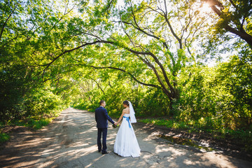 Wedding walk in the pine forest. Sunny day.
