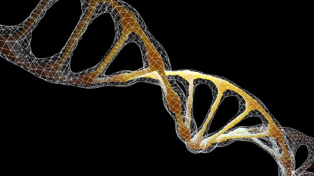 PNG DNA with connected net over it.Rotating dna. For medicine and futuristic technological purpose.