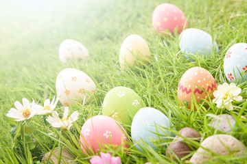 Happy easter!  Closeup Colorful Easter eggs in nest on green grass field during sunset background.