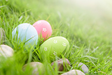 Happy easter!  Closeup Colorful Easter eggs in nest on green grass field during sunset background.