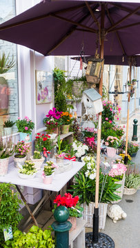 Flower shop under parasol, Brittany, France, Europe