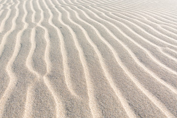 Fototapeta na wymiar waves of sand in the desert on the sand dunes