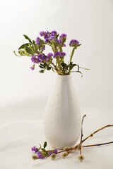 Spring lilac flowers with willow branches in a vase.