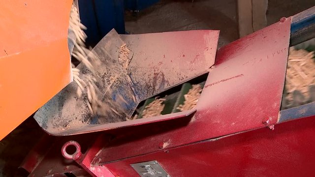 pellet production at the timber processing enterprise