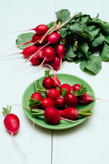 Fresh garden organic radish on green palate, copy space. Freshly harvested red radish. Vegetables background. Top view, flat lay