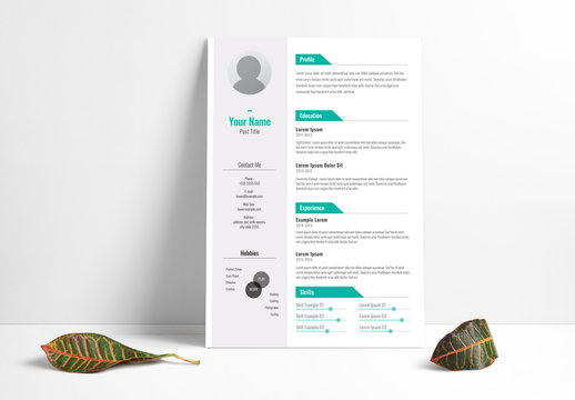 Resume Layout with Gray Sidebar and Teal Accents