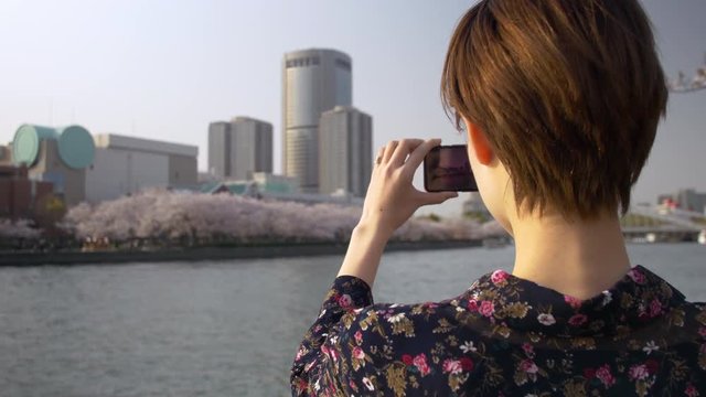Young Japanese woman taking photos of sakura by river.