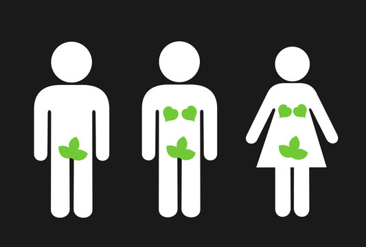 Fig leaf is covering genitalia of man and woman. Penis, vagina and sexual organ are hidden under green plant. Modesty and chastity shyness to be naked. Vector illustration