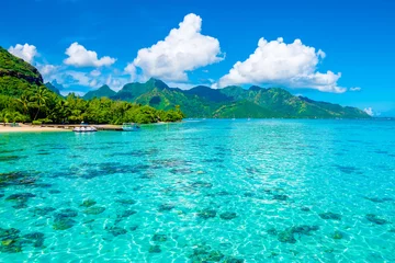 Foto op Plexiglas Lagoon landscape, Moorea © Nancy Pauwels