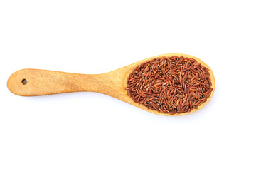 Rice berry in the wooden spoon  isolated on white background with clipping path.