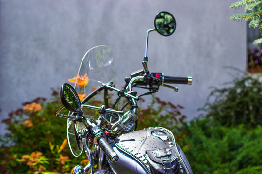 Yamaha Virago motorcycle in garden.