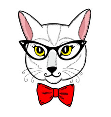 Cute cat face on the white background.