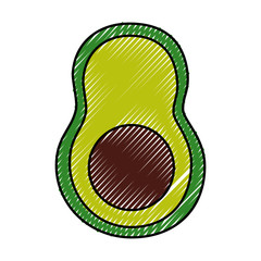 fresh avocado vegetable healthy vector illustration design
