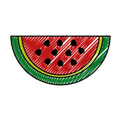 fresh watermelon fruit healthy food vector illustration design