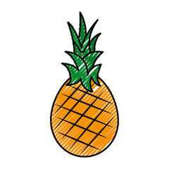 fresh pineapple fruit healthy food vector illustration design