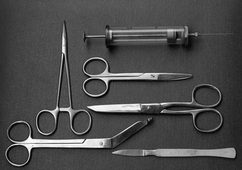 Surgical Instruments (forceps, metalglass syringe, various types of scissors, scalpel)